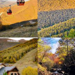 村里香农家菜 User Photo