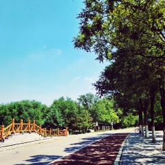 Happy Lamb Hot Pot User Photo