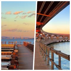 AI SHANG JUN User Photo