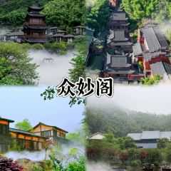 天镜池 User Photo