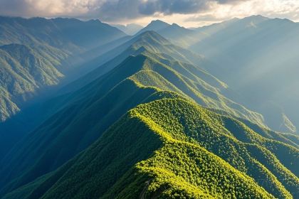 老家地锅(市民广场店)