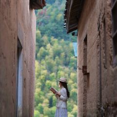 飞茑集樢咖啡 User Photo