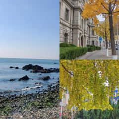 RI YUE SHENG YU JIA CAI 여행 사진