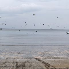 成山頭裕福祥漁家樂張用戶圖片