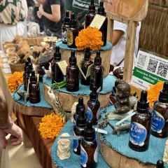 PENNY LANE User Photo