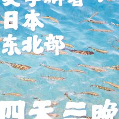 善治郎張用戶圖片