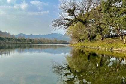府子小餐厅(解放街店)