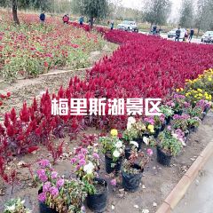赵兴家大片肉 User Photo