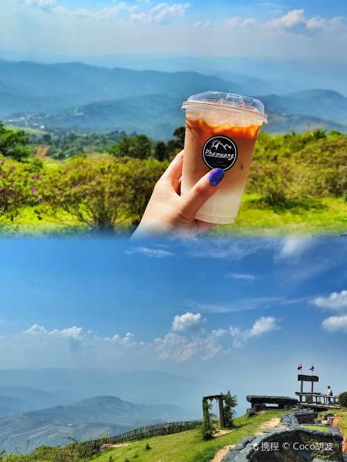 Phamuang Coffee DanPasak