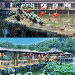 炎陵小渔村 User Photo