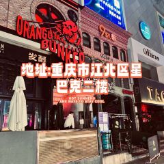 Orangutan Bunker User Photo