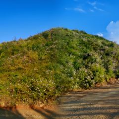 云南人家(大屯店) User Photo