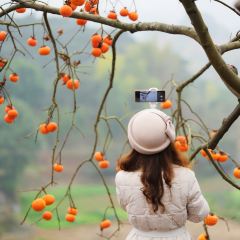 宝马生态农庄·柴火鸡(宝马店) User Photo