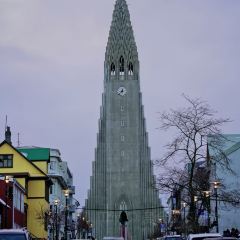 Reykjavík Kitchen張用戶圖片