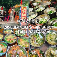 咖利树饭店 User Photo