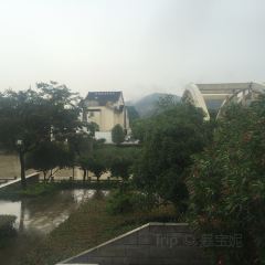 太湖船说·月亮湾餐厅(渔人码头店) User Photo