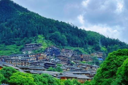 一木草堂咖啡馆