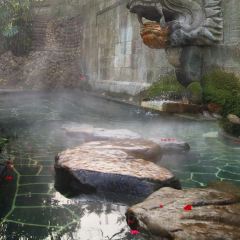 重庆柏联酒店·嘉陵轩 User Photo