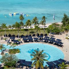 Ohas cafe (Kensington) User Photo