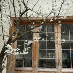 花園主義（九里拾院店）張用戶圖片