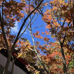 星荣私厨定制餐厅 User Photo