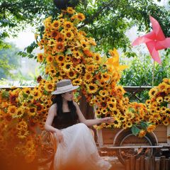 介个院子·草坪团建·围炉冰粉 User Photo
