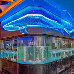 福临金阁(奥园店) User Photo