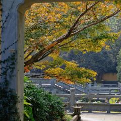 外婆的味道私房餐厅 User Photo