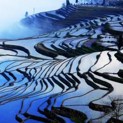 SA MA BA 여행 사진