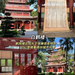 GUICAI YUEBEI RESTAURANT User Photo