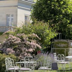 Château Belmont User Photo