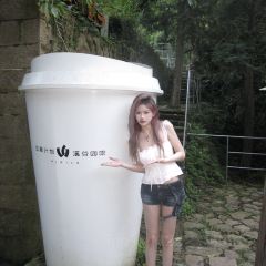 Wiwild逃离计划1·溪谷咖啡(泰顺店) User Photo