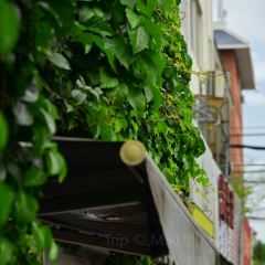 617 Single Malt Whisky Club User Photo