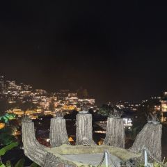 山房咖啡馆 User Photo
