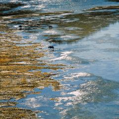 黑豆咖啡屋 User Photo