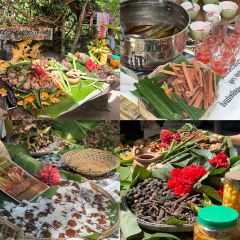 Sabienglae lamai張用戶圖片