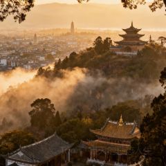 Caisheng Restaurant User Photo