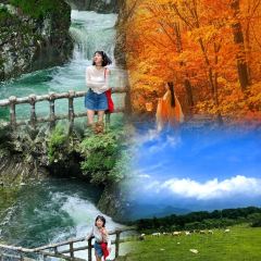 Number One User Photo