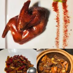 Camellia & Seasons User Photo