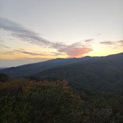 SAN BAO BIE YUAN REASTAURANT User Photo