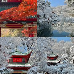 Tang you ba ba User Photo