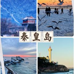 Bar Lotus User Photo