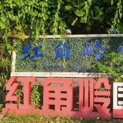 徐福记湛江烤生蚝 User Photo