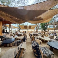 Chubby Papaya User Photo