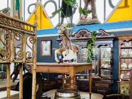 Junk & Disorderly
