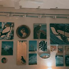 香蕉铺 User Photo