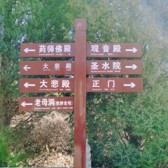 老龐家水餡包子館張用戶圖片