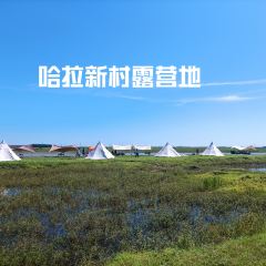 赵兴家大片肉 User Photo