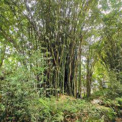 遵生小院(竹艺村店) User Photo