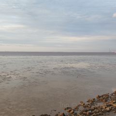 海上明月大酒店 User Photo